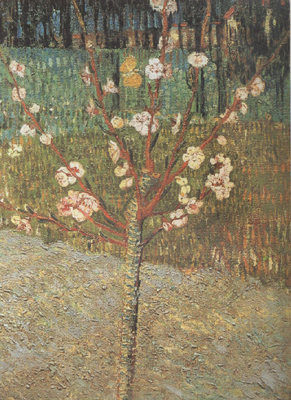 Vincent Van Gogh Almond Tree in Blossom (nn04)